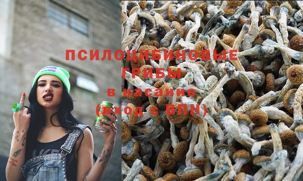 сатива Богданович