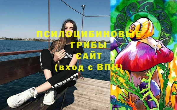 амфетамин Белокуриха