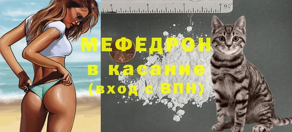 сатива Богданович