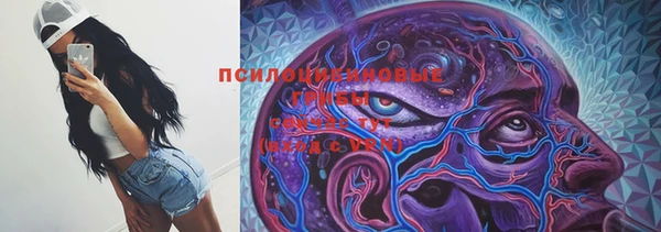 Альфа ПВП Богородск