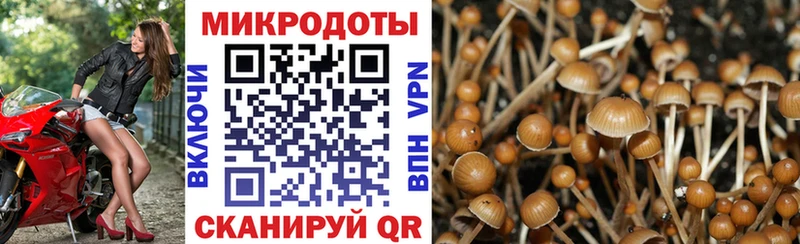 Галлюциногенные грибы мухоморы  Бирюсинск 